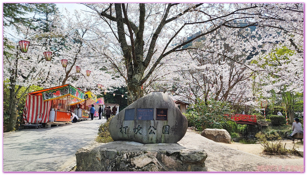 Kurayoshi,TOTTORI,倉吉市,倉吉打吹公園,日本旅遊,日本櫻花名所百選,鳥取