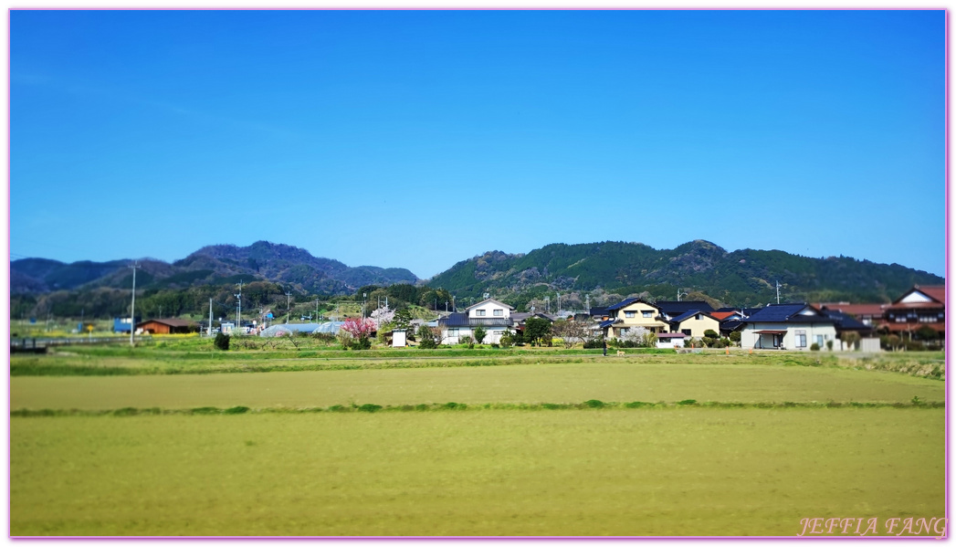 TOTTORI,山陰,日本旅遊,望湖樓,東鄉湖,湯梨濱町,羽和溫泉,鳥取,鳥取溫泉