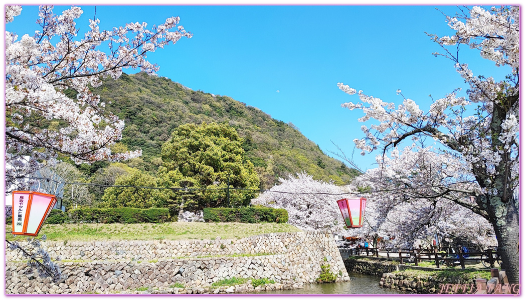 TOTTORI,久松公園,仁風閣,山陰,日本旅遊,日本櫻花百選,日本百選名城,鳥取,鳥取城跡