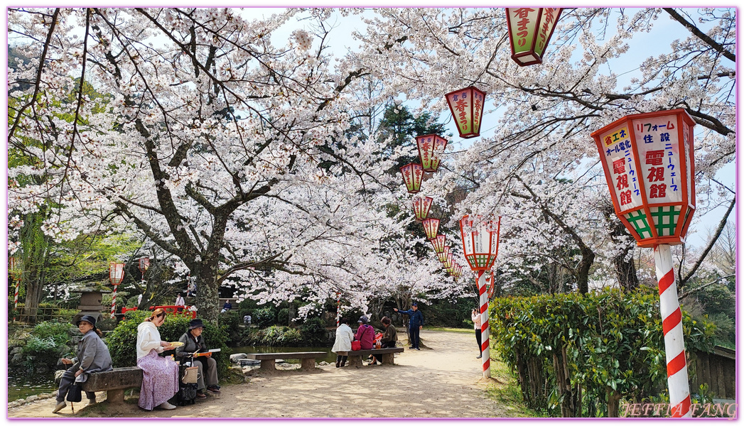 Kurayoshi,TOTTORI,倉吉市,倉吉打吹公園,日本旅遊,日本櫻花名所百選,鳥取