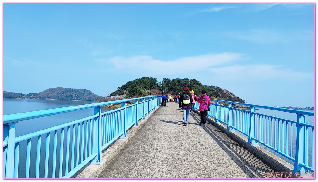 TOTTORI,山陰,日本旅遊,湖山池,青島,鳥取