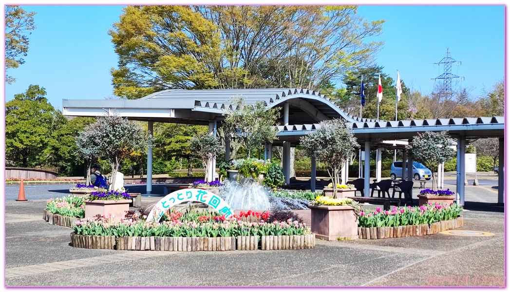 TOTTORI,圓頂花房,展望迴廊,山陰,日本旅遊,鳥取,鳥取花迴廊