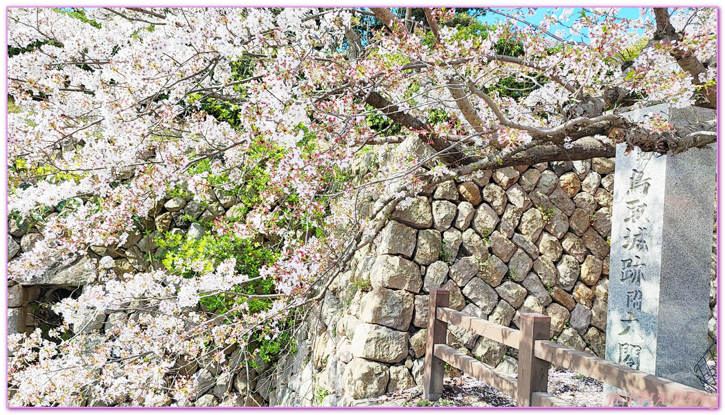 TOTTORI,久松公園,仁風閣,山陰,日本旅遊,日本櫻花百選,日本百選名城,鳥取,鳥取城跡