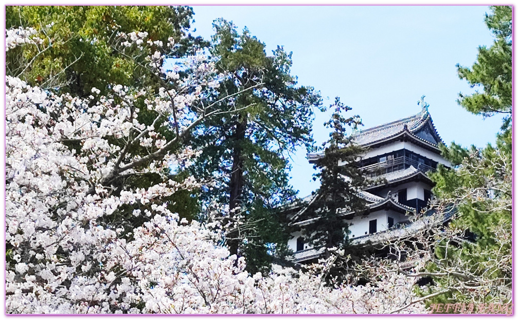 Matsure Castle,Shimane Ken,山陰旅遊,島根縣,日本旅遊,松江城,鳥取