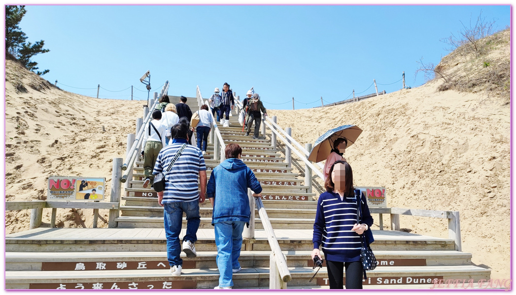 TOTTORI,日本旅遊,沙丘會館,鳥取,鳥取砂丘