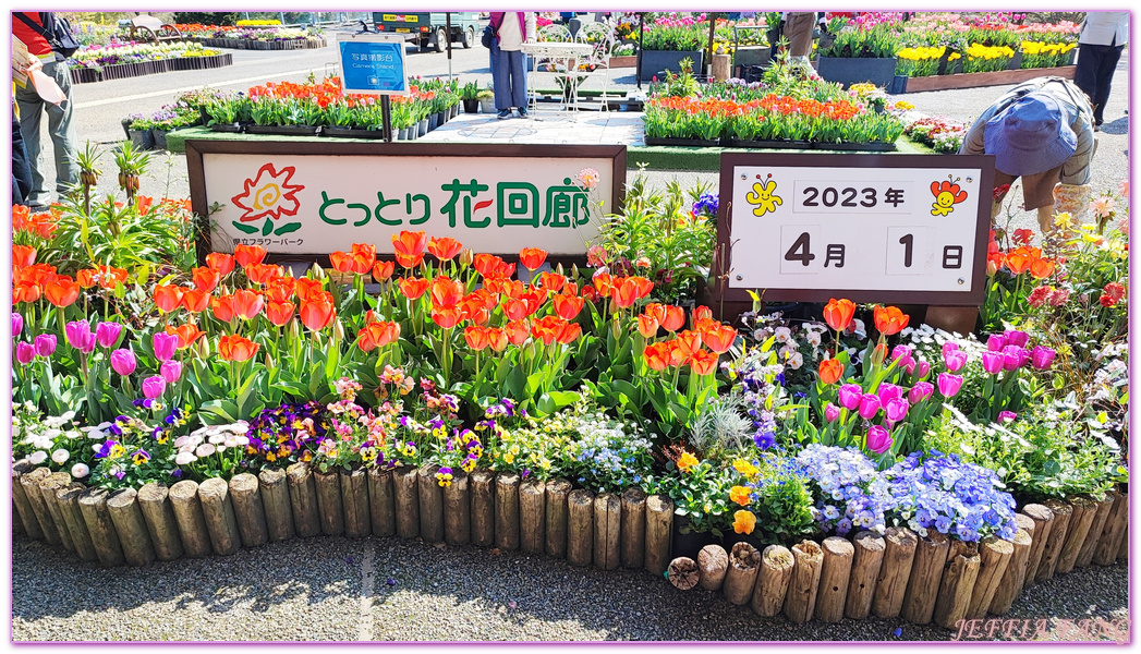 TOTTORI,圓頂花房,展望迴廊,山陰,日本旅遊,鳥取,鳥取花迴廊