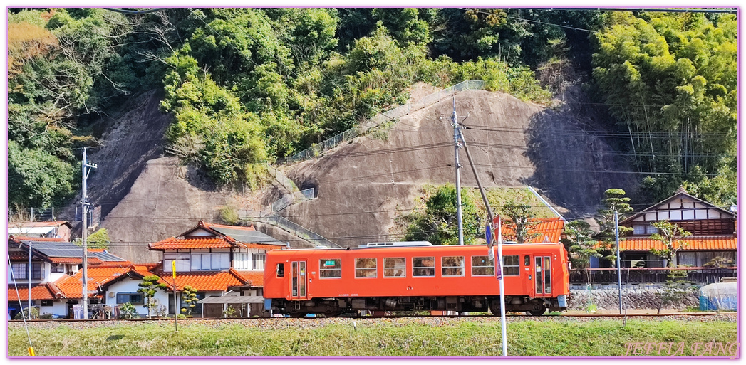 來次神社,山陰,島根縣,斐伊川堤防櫻花大道,日本旅遊,鳥取,鳳凰旅遊