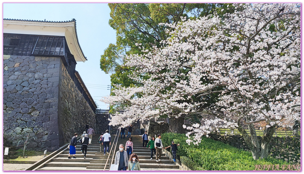 Matsure Castle,Shimane Ken,山陰旅遊,島根縣,日本旅遊,松江城,鳥取