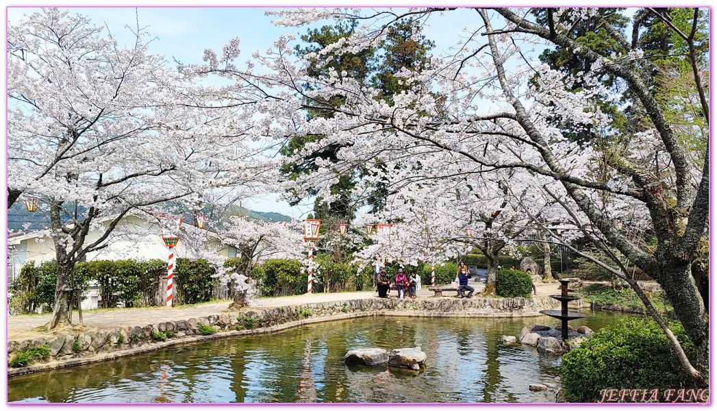 Kurayoshi,TOTTORI,倉吉市,倉吉打吹公園,日本旅遊,日本櫻花名所百選,鳥取