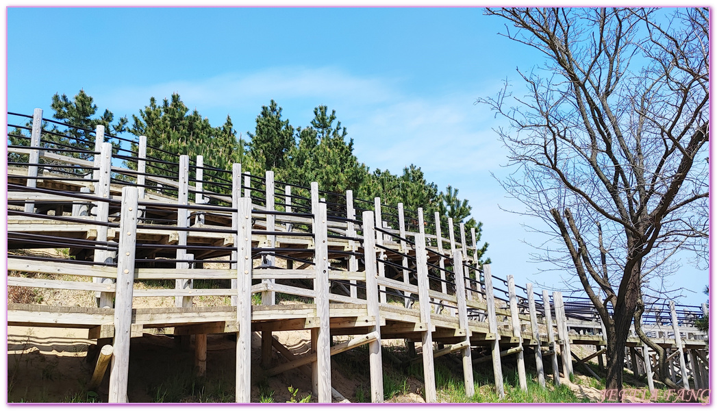 TOTTORI,日本旅遊,沙丘會館,鳥取,鳥取砂丘