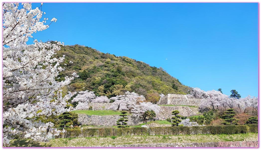 TOTTORI,久松公園,仁風閣,山陰,日本旅遊,日本櫻花百選,日本百選名城,鳥取,鳥取城跡