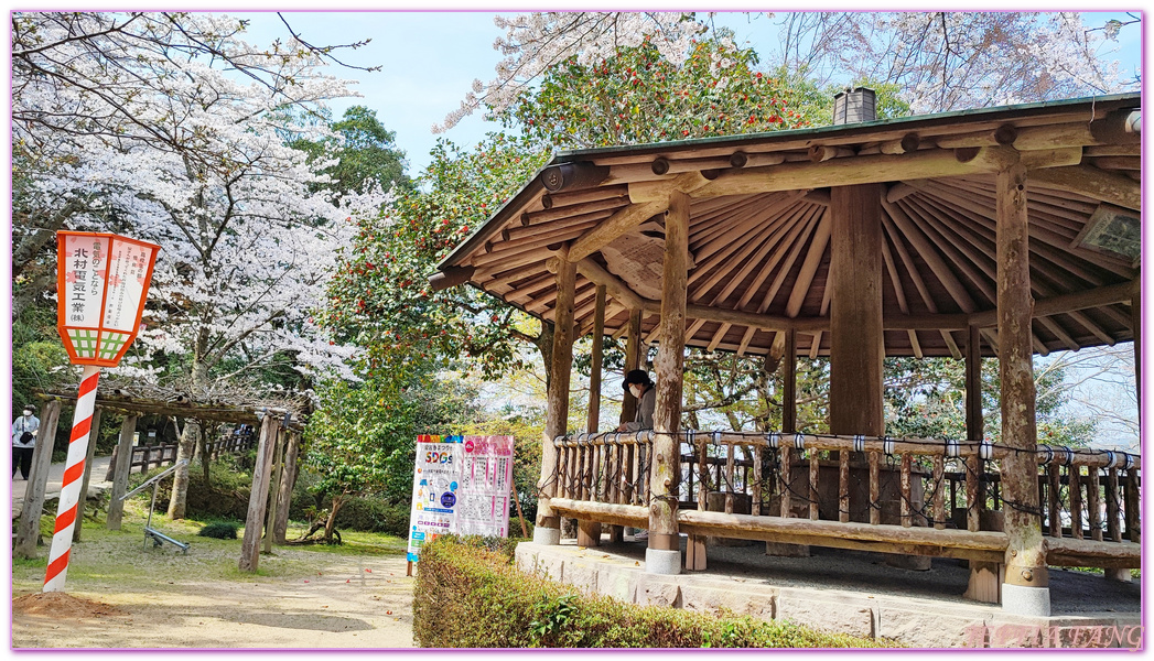 Kurayoshi,TOTTORI,倉吉市,倉吉打吹公園,日本旅遊,日本櫻花名所百選,鳥取