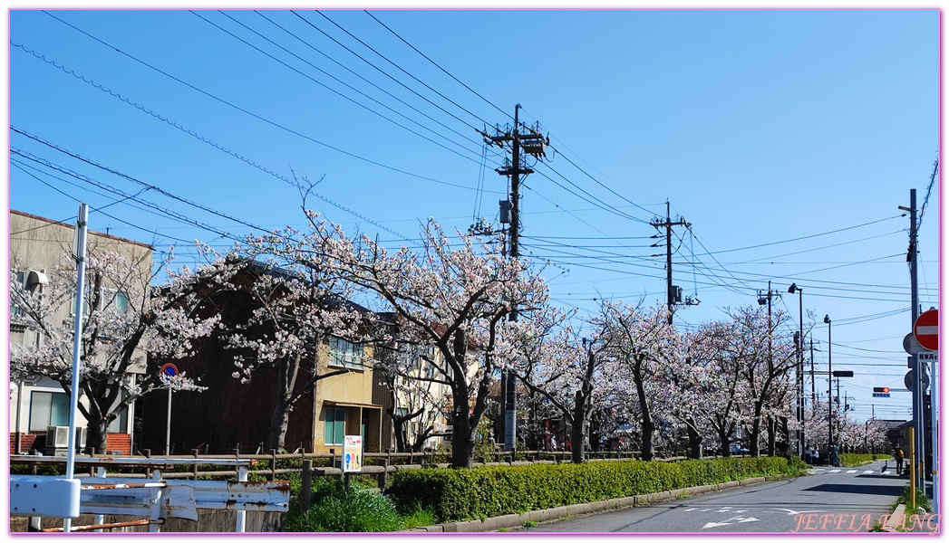 Mizuki Shigeru Road,Sakaiminato,TOTTORI,境港,山陰,日本旅遊,水木茂之路,鳥取,鳥取松葉蟹