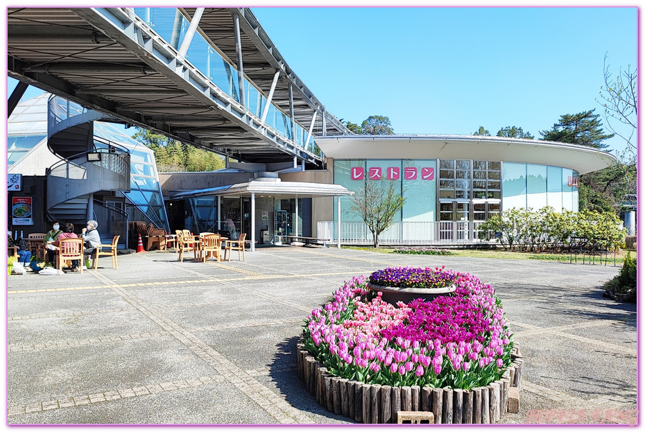 TOTTORI,圓頂花房,展望迴廊,山陰,日本旅遊,鳥取,鳥取花迴廊