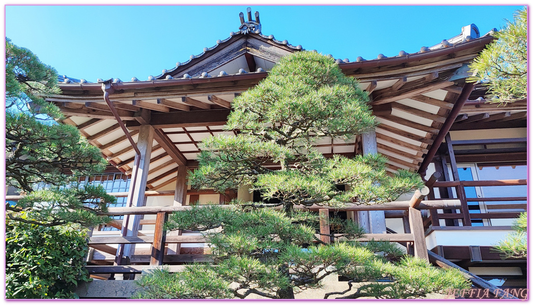 Shimane Ken,YUUSHIEN GARDEN,中國地方,山陰,島根人蔘,島根縣,日本旅遊,由志園,迴遊式庭園