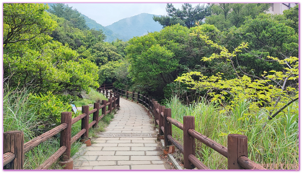 Unzen,北九州長崎NAGASAKI,島原半島,日本旅遊,長崎旅遊,雲仙地獄,雲仙溫泉