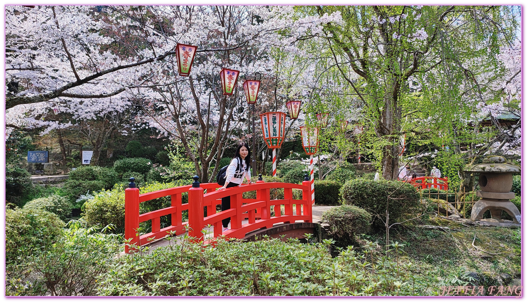 Kurayoshi,TOTTORI,倉吉市,倉吉打吹公園,日本旅遊,日本櫻花名所百選,鳥取