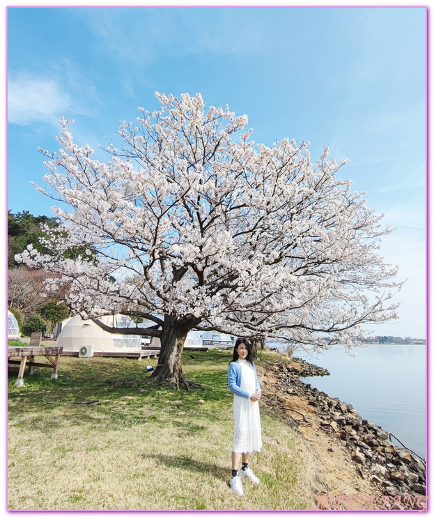 TOTTORI,山陰,日本旅遊,湖山池,青島,鳥取