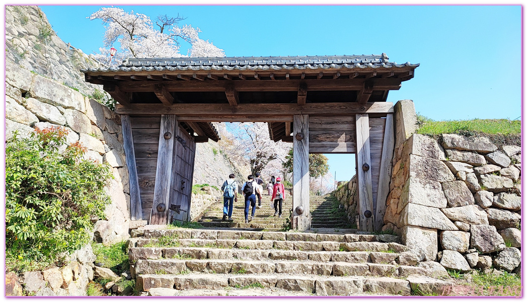 TOTTORI,久松公園,仁風閣,山陰,日本旅遊,日本櫻花百選,日本百選名城,鳥取,鳥取城跡