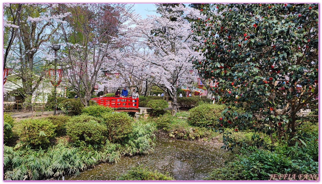 Kurayoshi,TOTTORI,倉吉市,倉吉打吹公園,日本旅遊,日本櫻花名所百選,鳥取