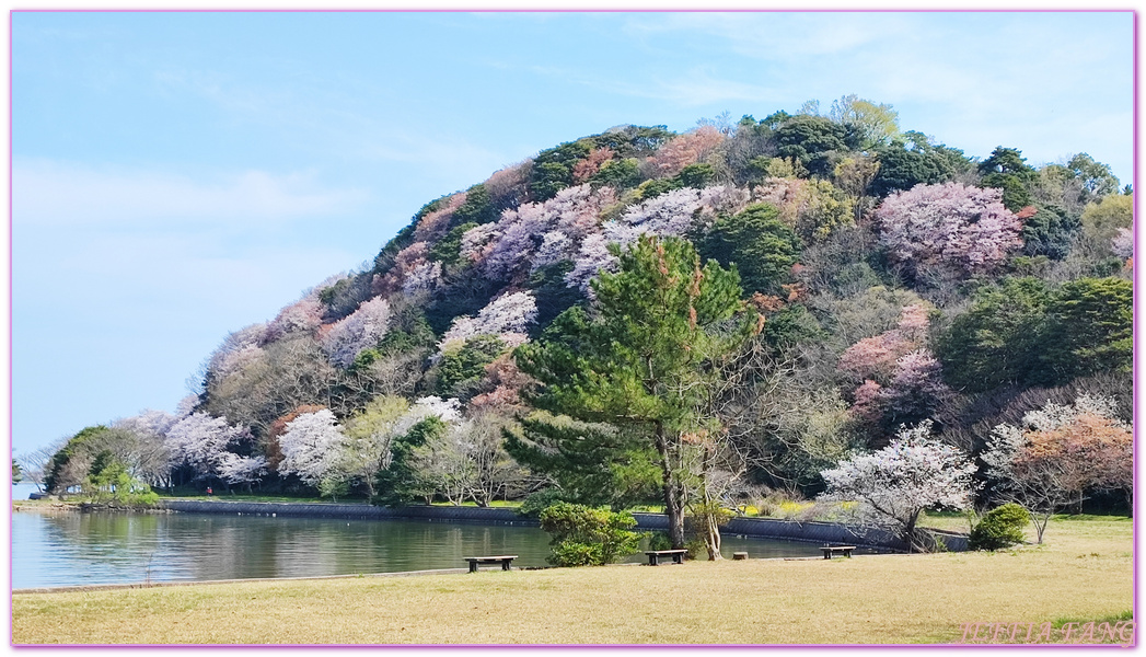 TOTTORI,山陰,日本旅遊,湖山池,青島,鳥取