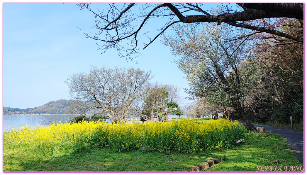 TOTTORI,山陰,日本旅遊,湖山池,青島,鳥取