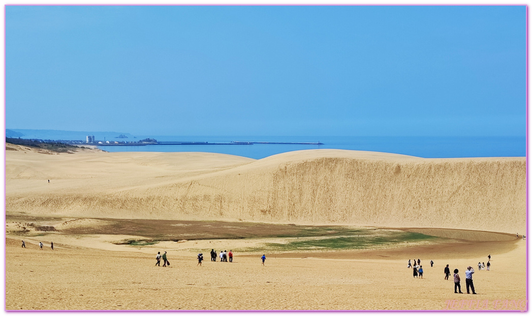 TOTTORI,日本旅遊,沙丘會館,鳥取,鳥取砂丘