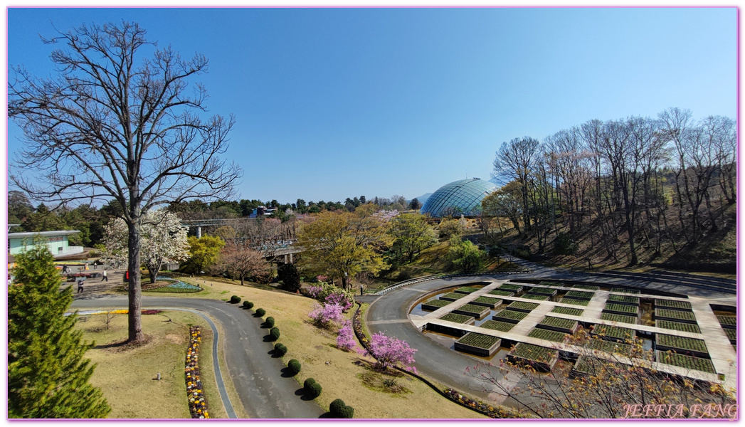 TOTTORI,圓頂花房,展望迴廊,山陰,日本旅遊,鳥取,鳥取花迴廊