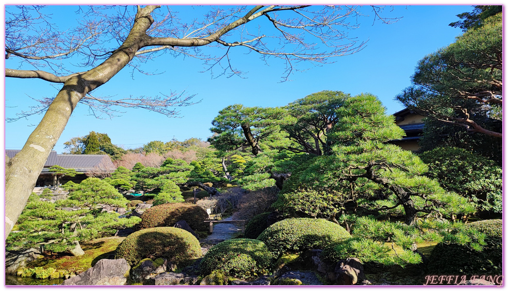 Shimane Ken,YUUSHIEN GARDEN,中國地方,山陰,島根人蔘,島根縣,日本旅遊,由志園,迴遊式庭園