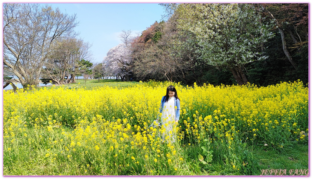 TOTTORI,山陰,日本旅遊,湖山池,青島,鳥取