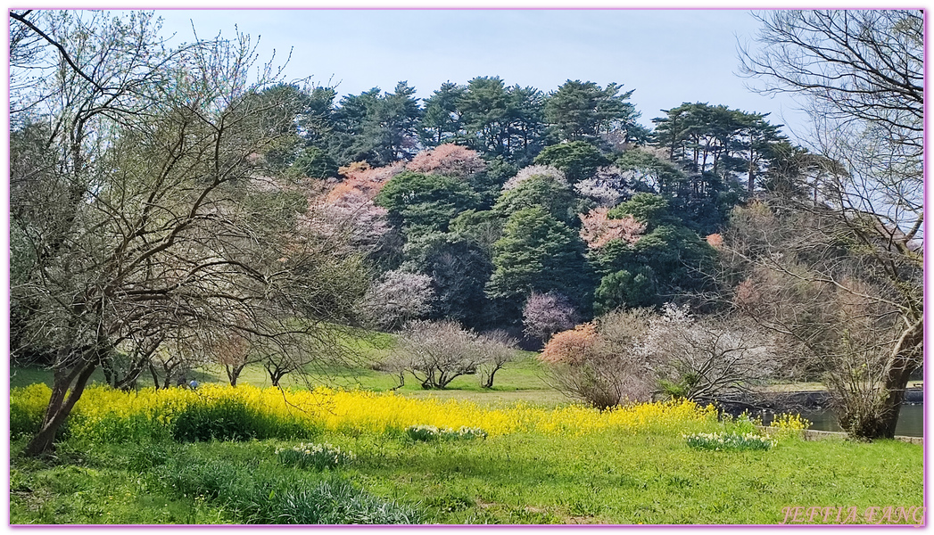 TOTTORI,山陰,日本旅遊,湖山池,青島,鳥取