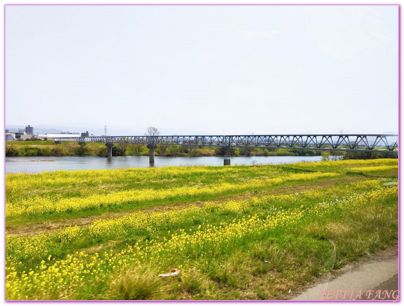 TOTTORI,山陰,日本旅遊,湖山池,青島,鳥取