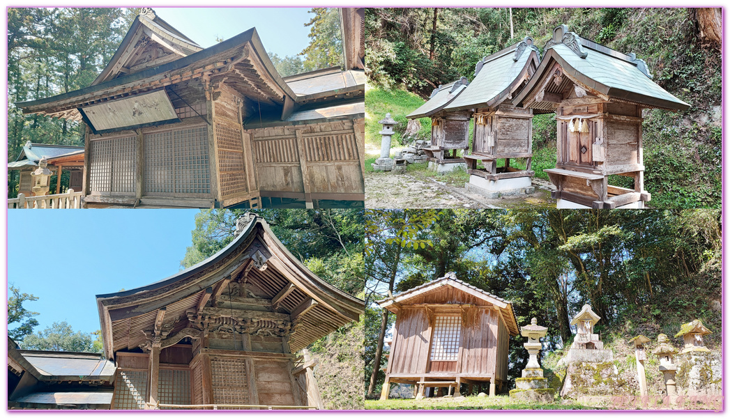 來次神社,山陰,島根縣,斐伊川堤防櫻花大道,日本旅遊,鳥取,鳳凰旅遊