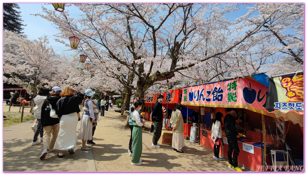 Kurayoshi,TOTTORI,倉吉市,倉吉打吹公園,日本旅遊,日本櫻花名所百選,鳥取