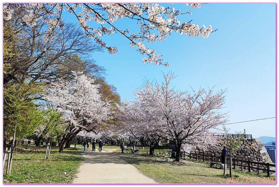 TOTTORI,久松公園,仁風閣,山陰,日本旅遊,日本櫻花百選,日本百選名城,鳥取,鳥取城跡