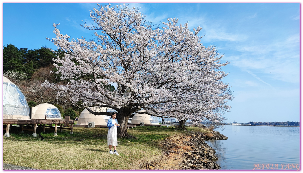 TOTTORI,山陰,日本旅遊,湖山池,青島,鳥取