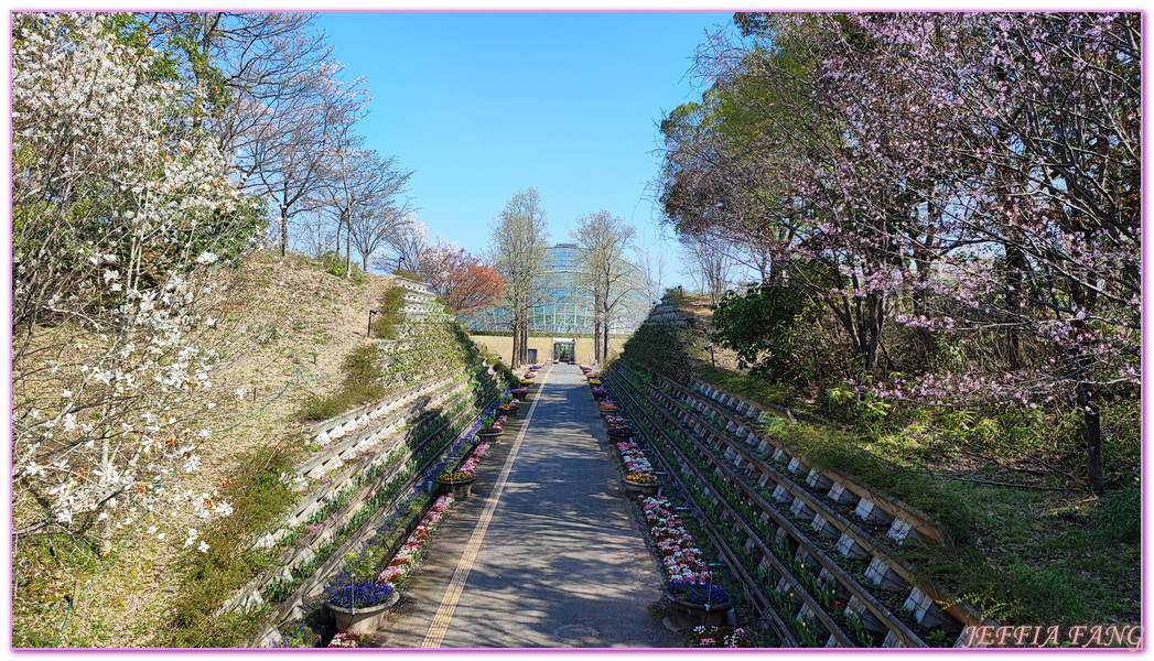 TOTTORI,圓頂花房,展望迴廊,山陰,日本旅遊,鳥取,鳥取花迴廊