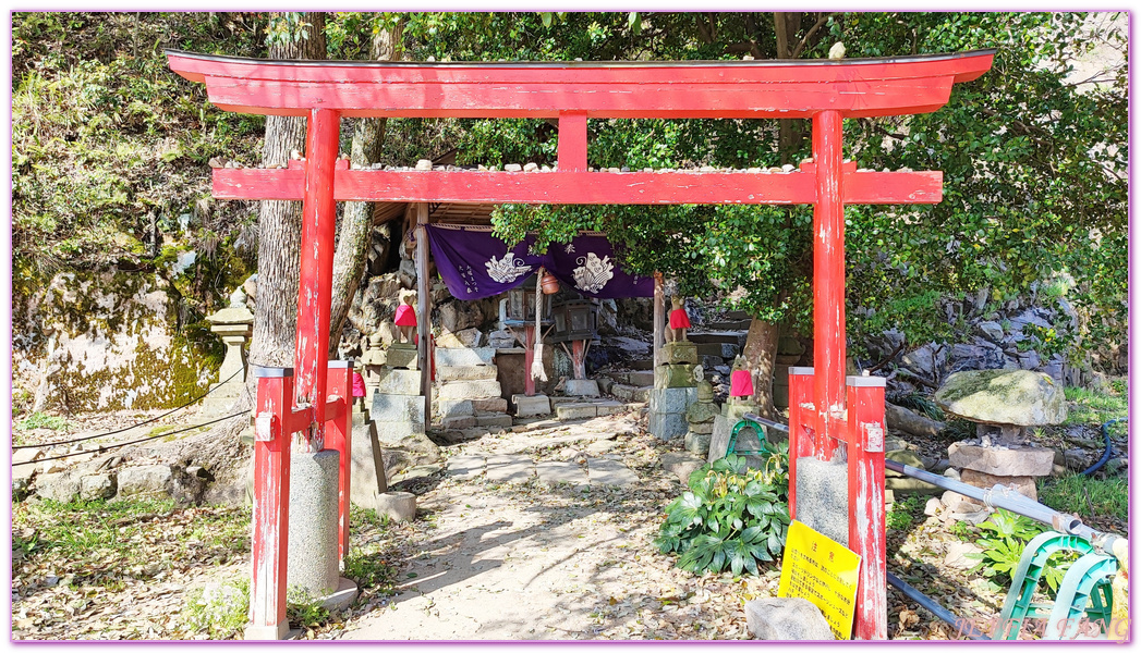 TOTTORI,久松公園,仁風閣,山陰,日本旅遊,日本櫻花百選,日本百選名城,鳥取,鳥取城跡