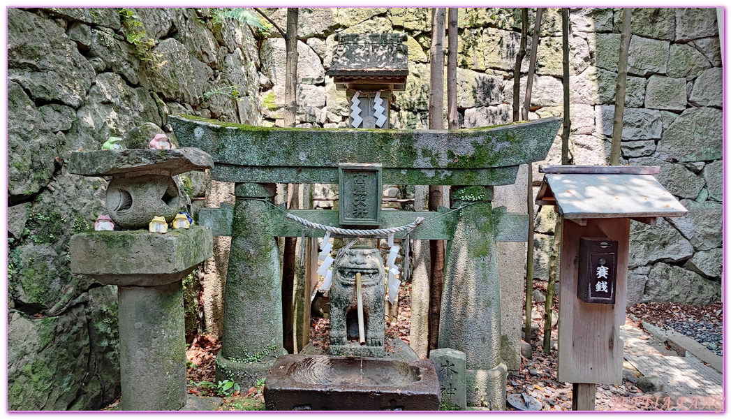 Osuwasan,北九州長崎NAGASAKI,日本旅遊,鎮西大社．諏訪神社,長崎自由行