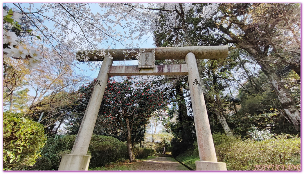 Kurayoshi,TOTTORI,倉吉市,倉吉打吹公園,日本旅遊,日本櫻花名所百選,鳥取