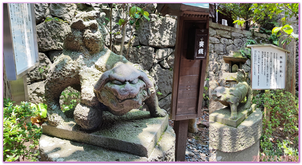 Osuwasan,北九州長崎NAGASAKI,日本旅遊,鎮西大社．諏訪神社,長崎自由行