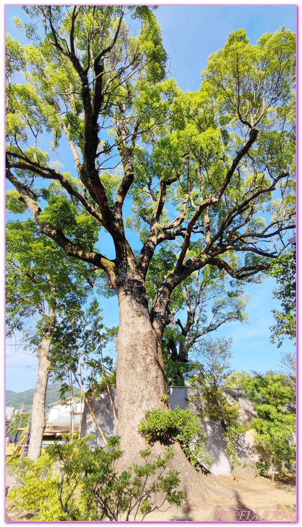 Nagasaki,北九州,日本三大夜景,日本旅遊,淵神社,稻佐山,稻佐山交通攻略,稻佐山夜景,長崎,長崎電車之旅