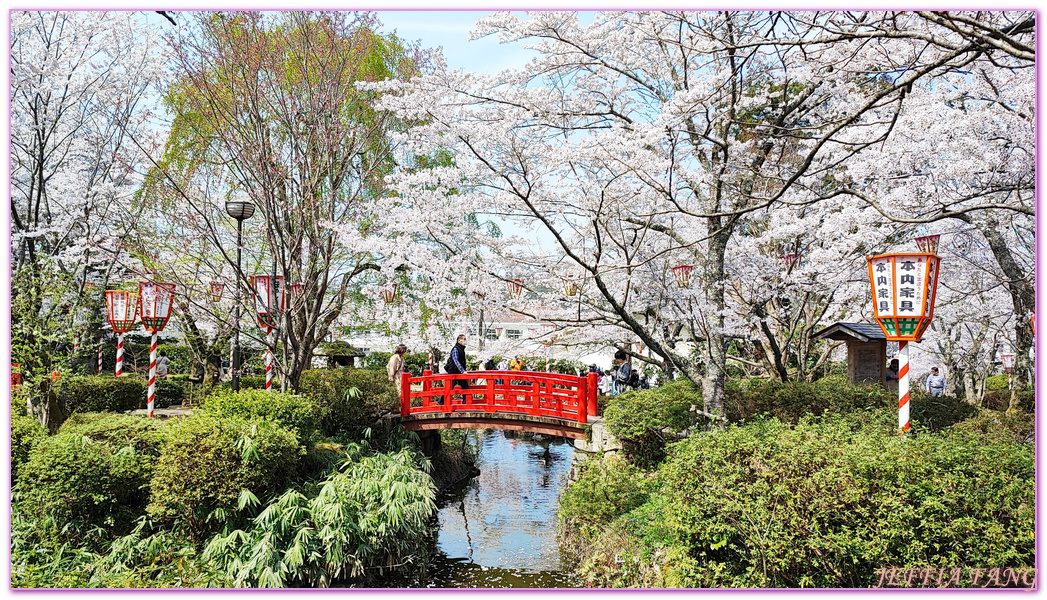 Kurayoshi,TOTTORI,倉吉市,倉吉打吹公園,日本旅遊,日本櫻花名所百選,鳥取