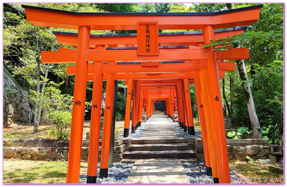 Osuwasan,北九州長崎NAGASAKI,日本旅遊,鎮西大社．諏訪神社,長崎自由行