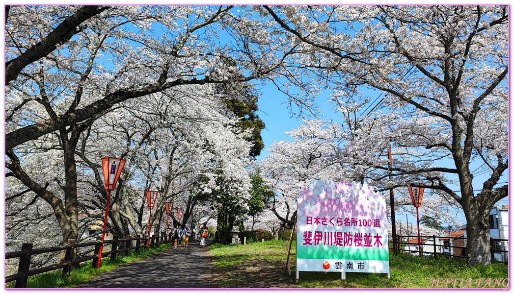 來次神社,山陰,島根縣,斐伊川堤防櫻花大道,日本旅遊,鳥取,鳳凰旅遊