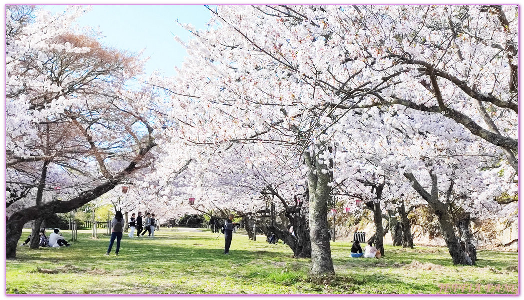 TOTTORI,久松公園,仁風閣,山陰,日本旅遊,日本櫻花百選,日本百選名城,鳥取,鳥取城跡