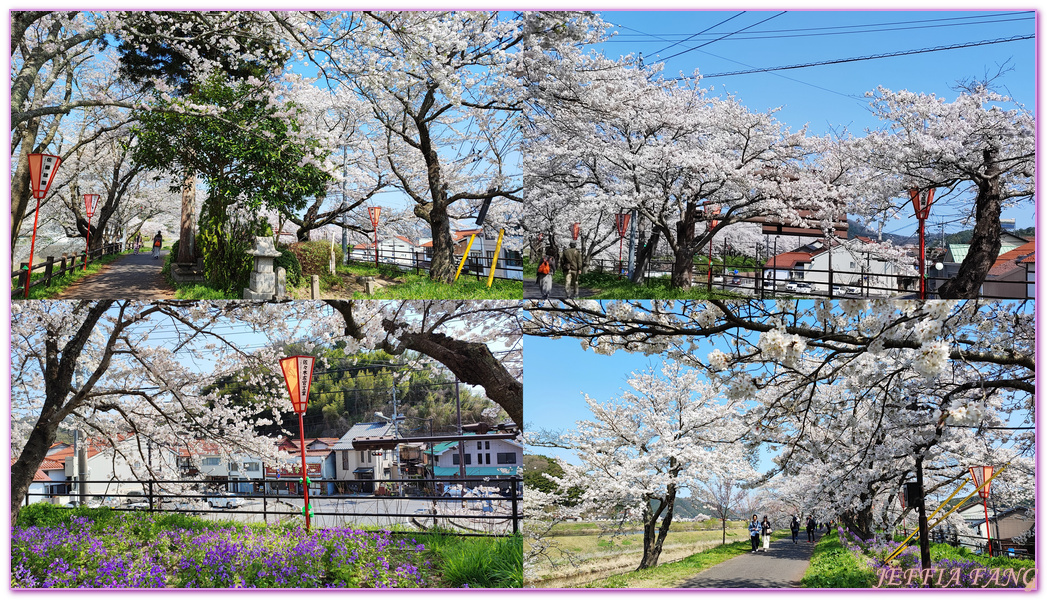 來次神社,山陰,島根縣,斐伊川堤防櫻花大道,日本旅遊,鳥取,鳳凰旅遊