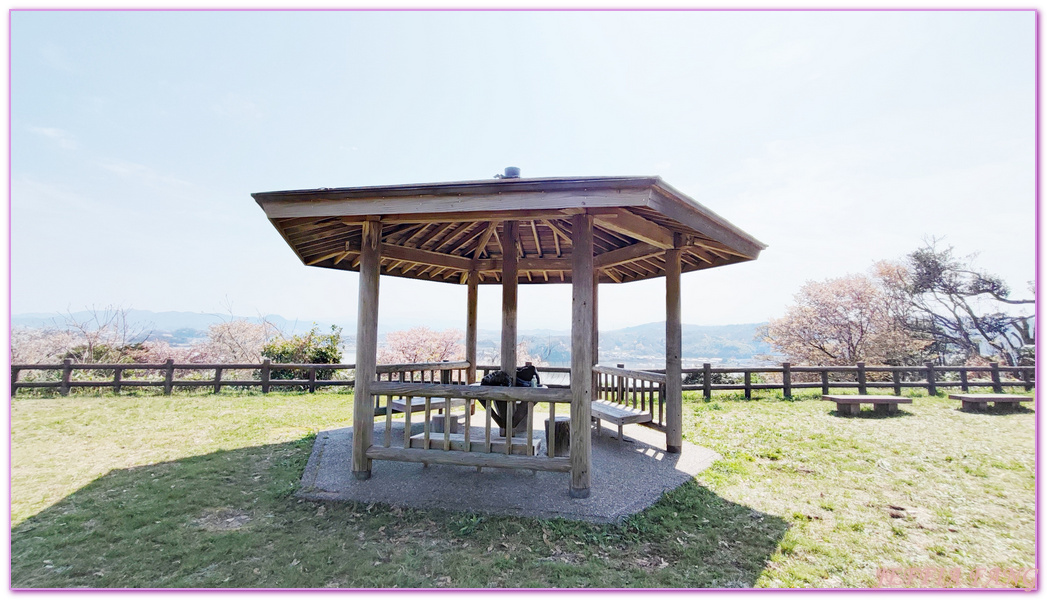 TOTTORI,山陰,日本旅遊,湖山池,青島,鳥取