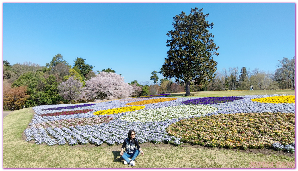 TOTTORI,圓頂花房,展望迴廊,山陰,日本旅遊,鳥取,鳥取花迴廊