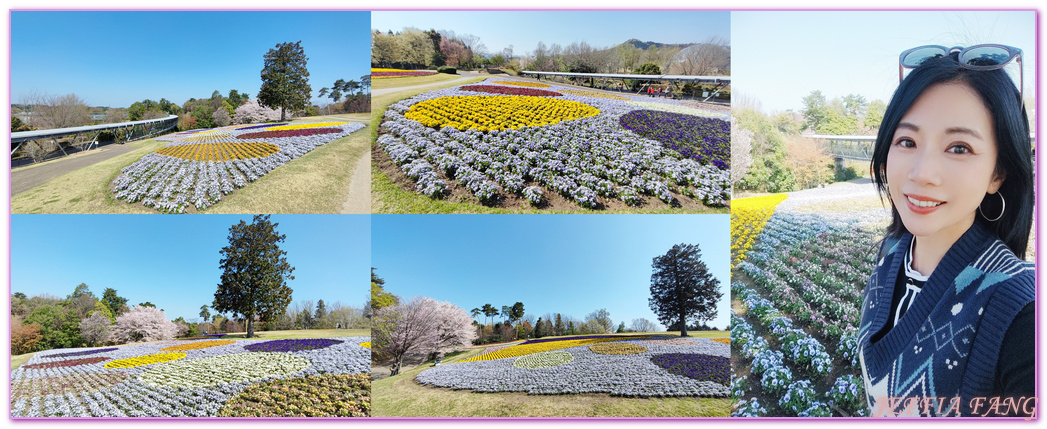 TOTTORI,圓頂花房,展望迴廊,山陰,日本旅遊,鳥取,鳥取花迴廊